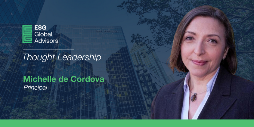 Step By Step: Developing an Effective Approach to Responsible Investment for Foundations, Endowments and Not-for-Profits